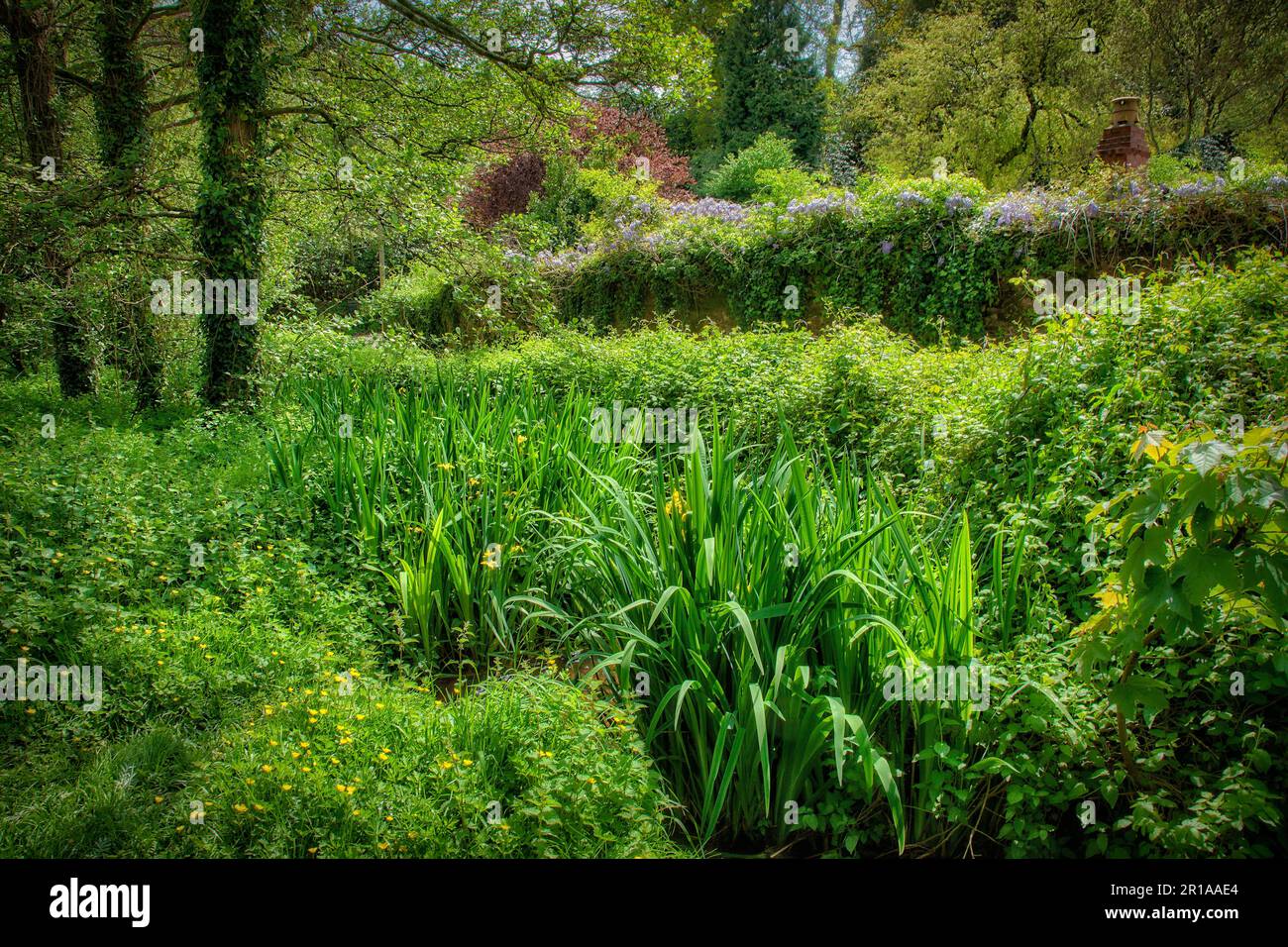 GB - DEVON : Cockington Water Meadows près de Torquay Banque D'Images