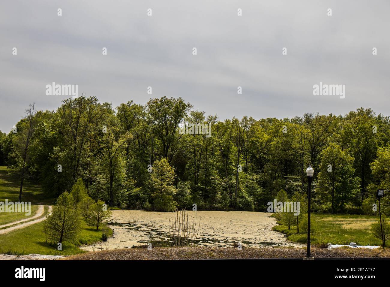 lac couvert d'algues dans la région viticole du midwest Banque D'Images