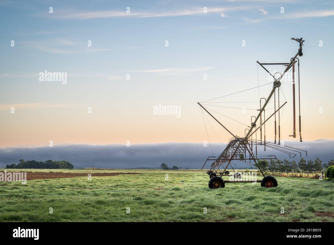 Le soleil levant brûle lentement le brouillard dans un enclos de ferme de pâturage amélioré révélant une rampe d'irrigation sur les Tablelands d'Atherton en Australie. Banque D'Images