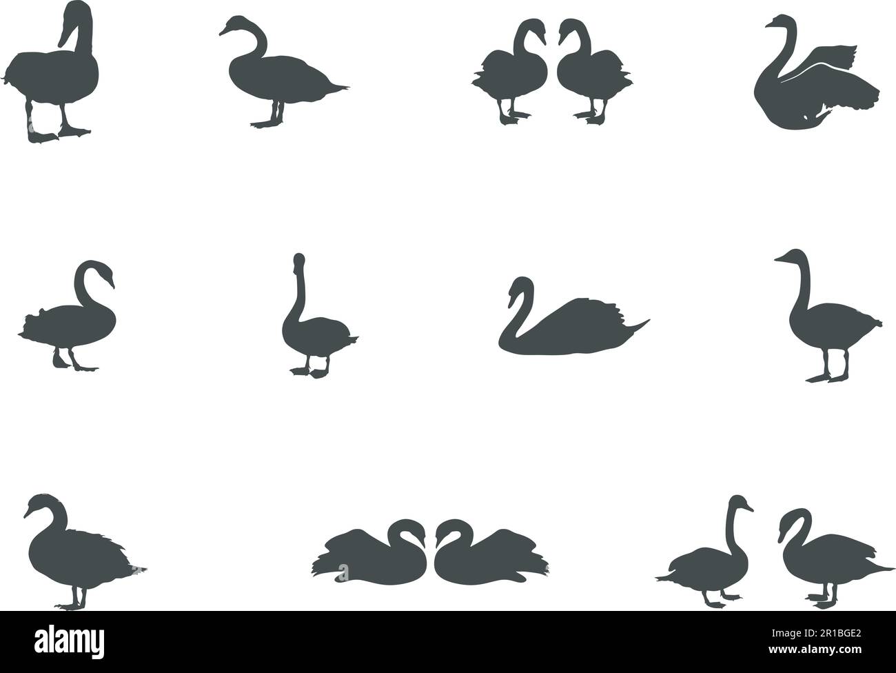 Silhouettes de cygne, ensemble de vecteurs de cygne, icône de cygne Illustration de Vecteur