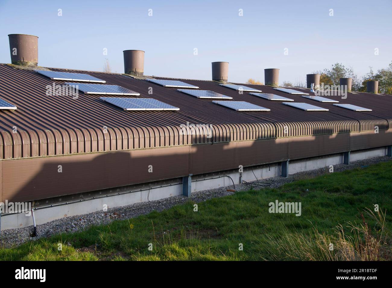 Élevage de poulets, panneaux solaires sur le toit de la station de volaille, Lancashire, Angleterre, Royaume-Uni Banque D'Images