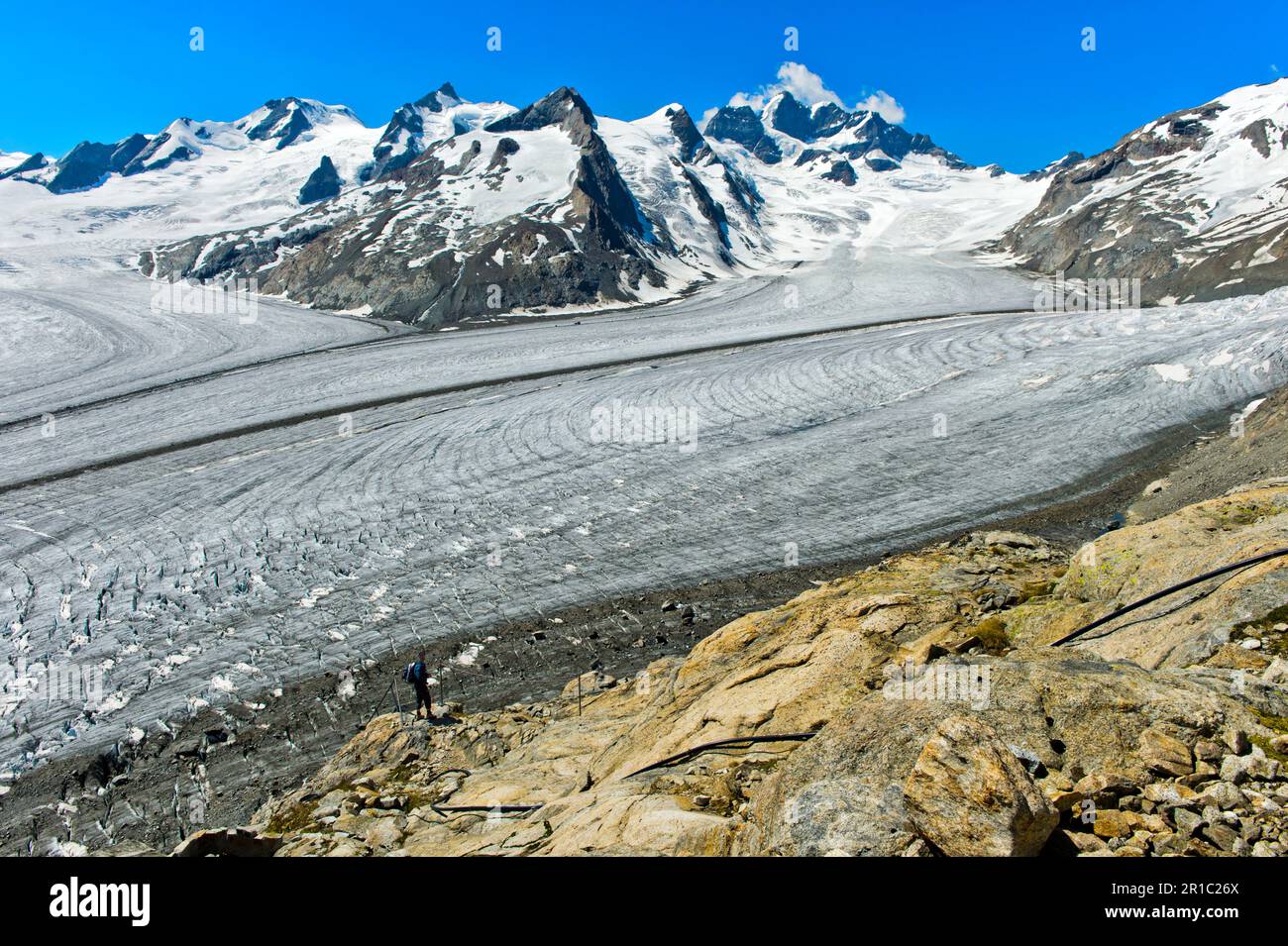 De puissants ruisseaux de glace du glacier d'Aletsch sur la Konkordiaplatz, vue vers le glacier Jungfraufirn, Grindelwald, Oberland bernois, Suisse Banque D'Images