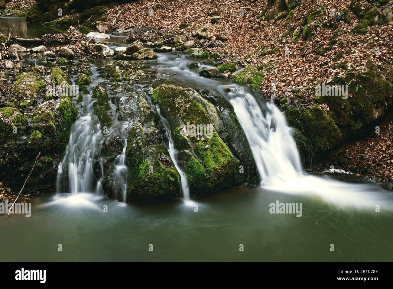 Magnifique ruisseau de montagne au-dessus des rochers dans les gorges de Borzesti, Roumanie Banque D'Images