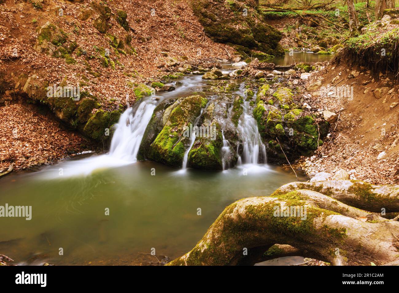 Chute d'eau au début du printemps, image à longue exposition prise en Transylvanie, gorges de Borzesti, montagnes d'Apuseni Banque D'Images