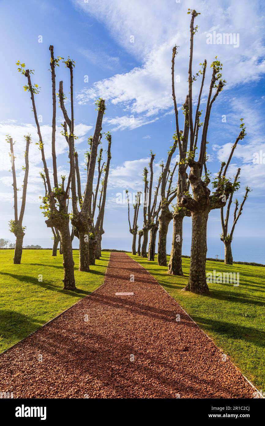 Chemin rouge dans le parc entouré d'herbe verte et d'arbres taillés avec ciel bleu avec des nuages en arrière-plan. Comillas, Cantabrie, Espagne. Banque D'Images