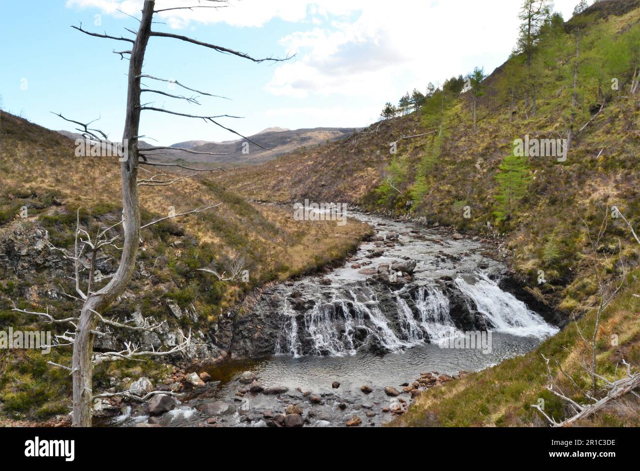 Cascade dans la région de la forêt de Flowerdale dans les West Highlands d'Écosse Banque D'Images