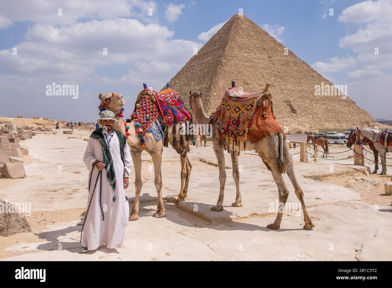 Homme aux chameaux devant les pyramides de Gizeh au Caire, en Égypte Banque D'Images