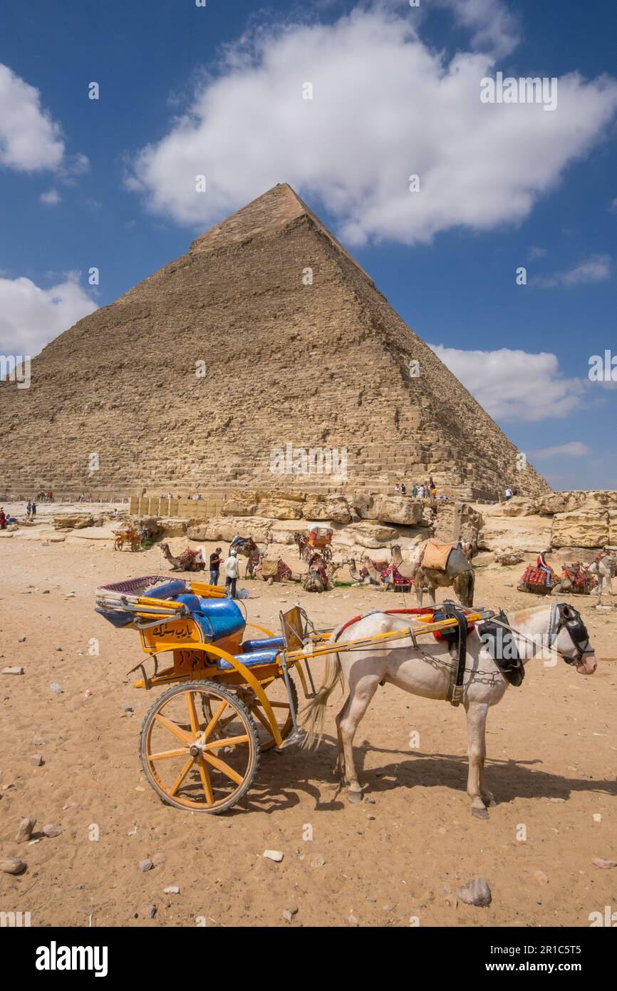 Chariot tiré par des chevaux stationné devant la pyramide de Khafre au Caire, en Égypte Banque D'Images