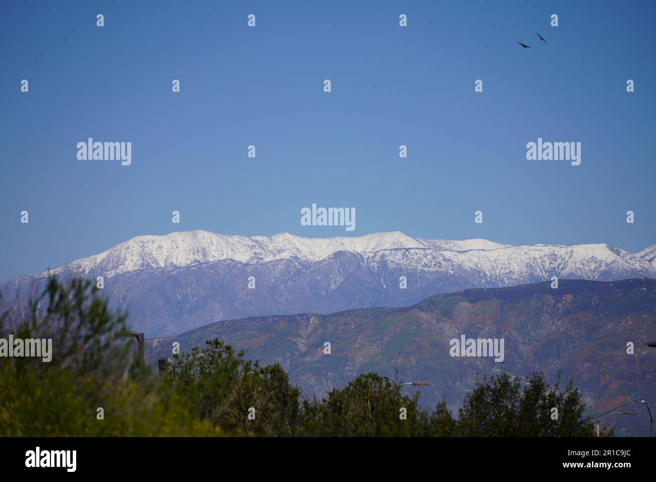 Montagne enneigée dans le sud de la Californie Banque D'Images