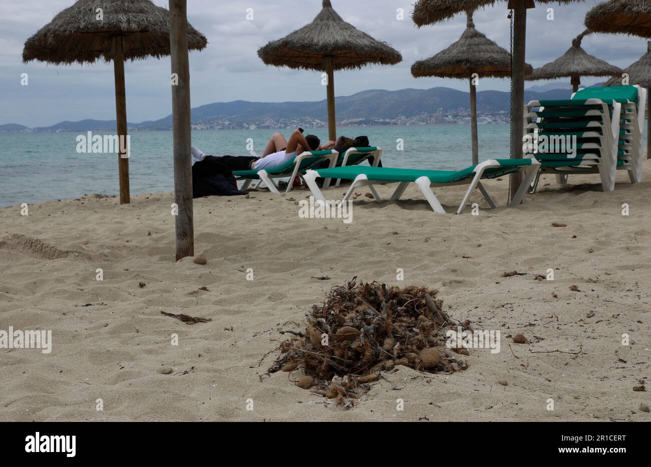 Palma, Espagne. 11th mai 2023. Déchets et algues ramassés sur la plage d'Arenal. La Playa de Palma à Ballermann à Majorque a perdu le 'drapeau bleu' et donc le statut de plage d'excellente qualité. (À dpa 'Ballermann Beach perd 'drapeau bleu' pour l'excellente qualité') Credit: Clara Margais/dpa/Alay Live News Banque D'Images