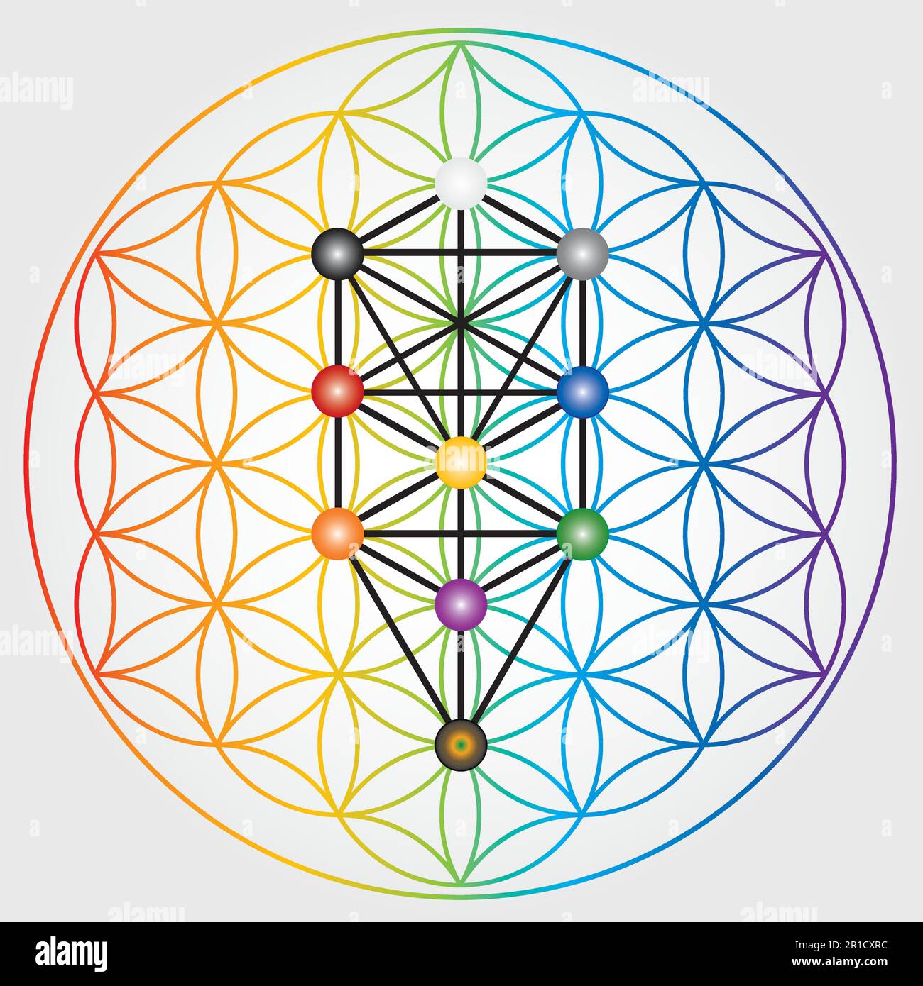 Symbole de la fleur de vie en couleurs arc-en-ciel, roue de l'énergie de l'univers cosmique, arbre de Sephiroth, Kabbalah Illustration de Vecteur