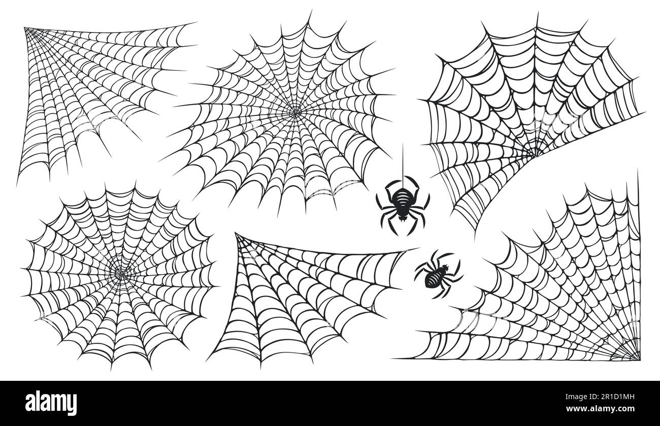 Toile d'araignée isolée sur fond blanc. Ensemble toile d'araignée. Illustration du vecteur de concept Halloween Illustration de Vecteur