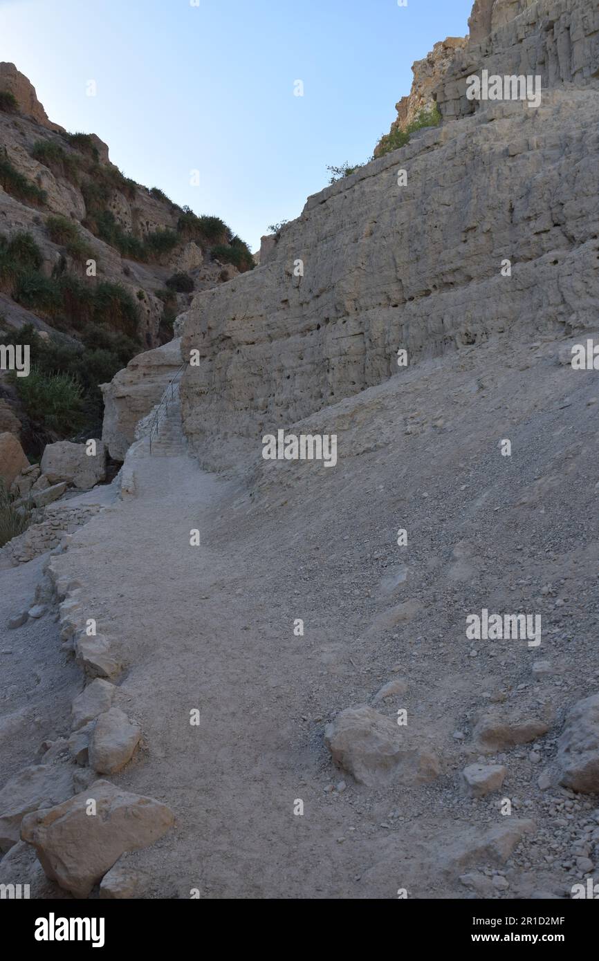 Le sentier humide dans la réserve naturelle d'Ein Gedi, région de la mer Morte en Israël Banque D'Images