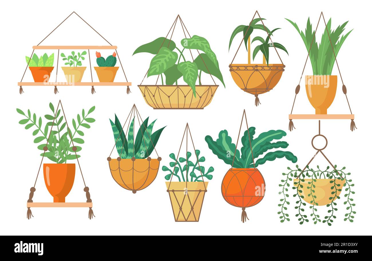Des cintres créatifs lumineux pour les plantes dans des pots des images à plat Illustration de Vecteur