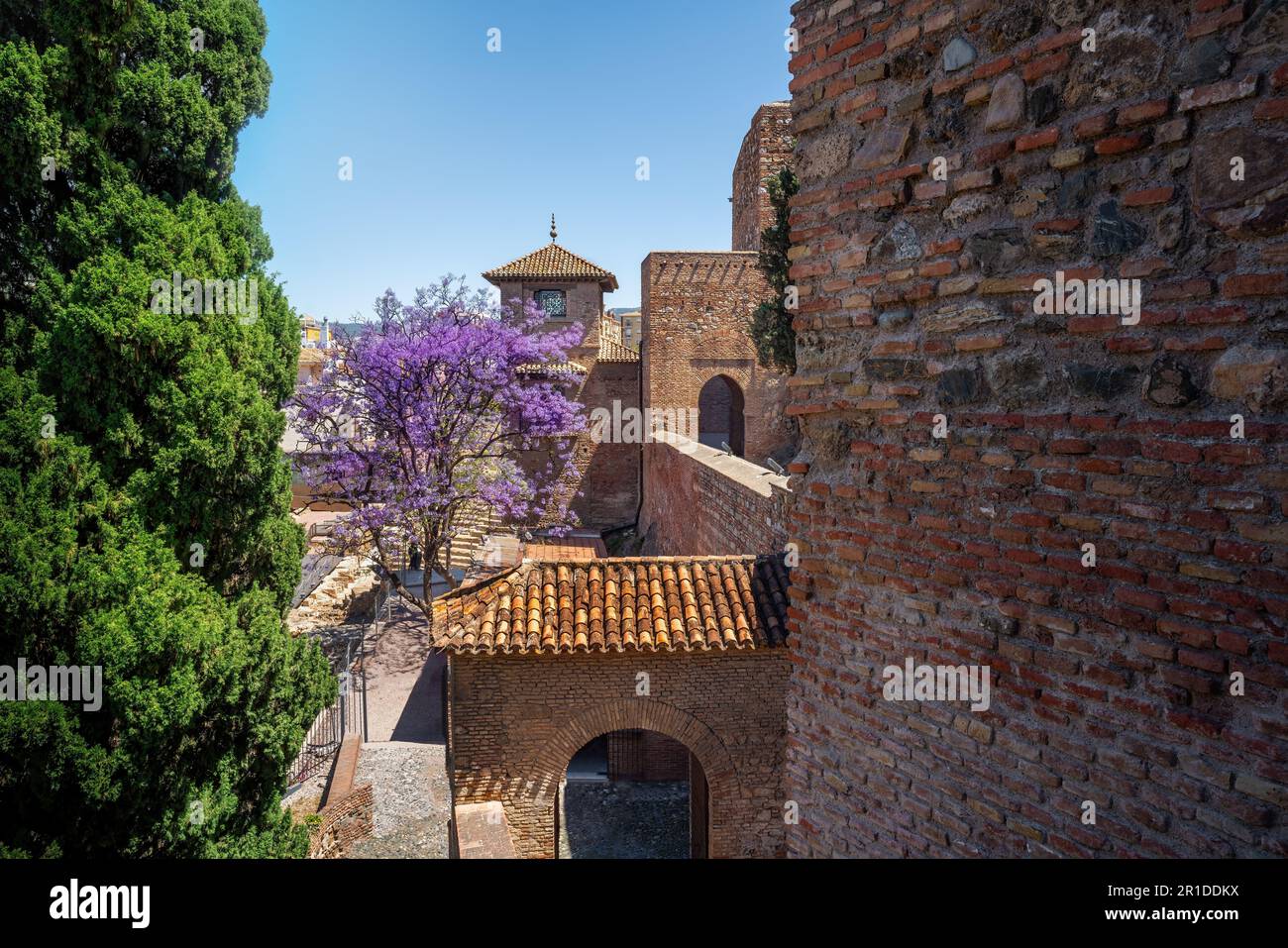Forteresse Alcazaba - Malaga, Andalousie, Espagne Banque D'Images