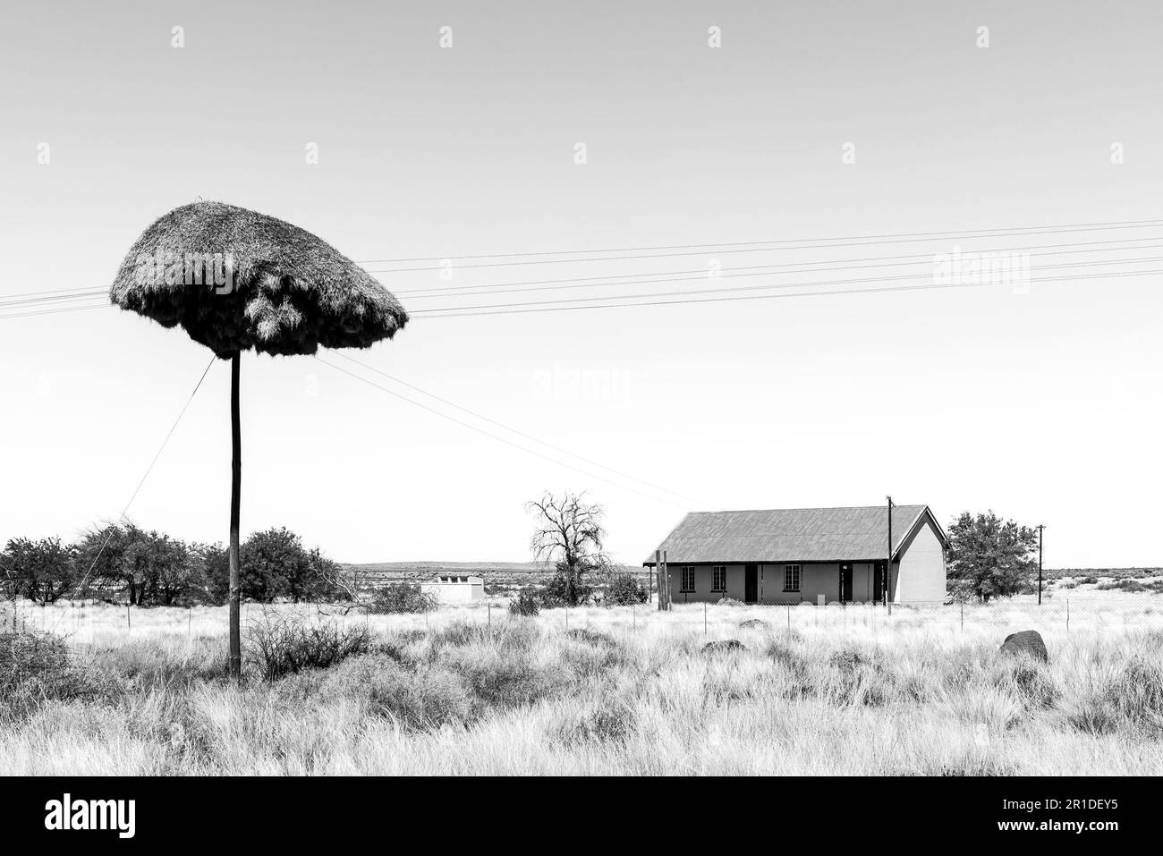 Putsonderwater, Afrique du Sud - Fév 28 2023: Une maison et un poteau téléphonique avec un nid d'oiseau cumunal près de Putsonderwater. Monochrome Banque D'Images