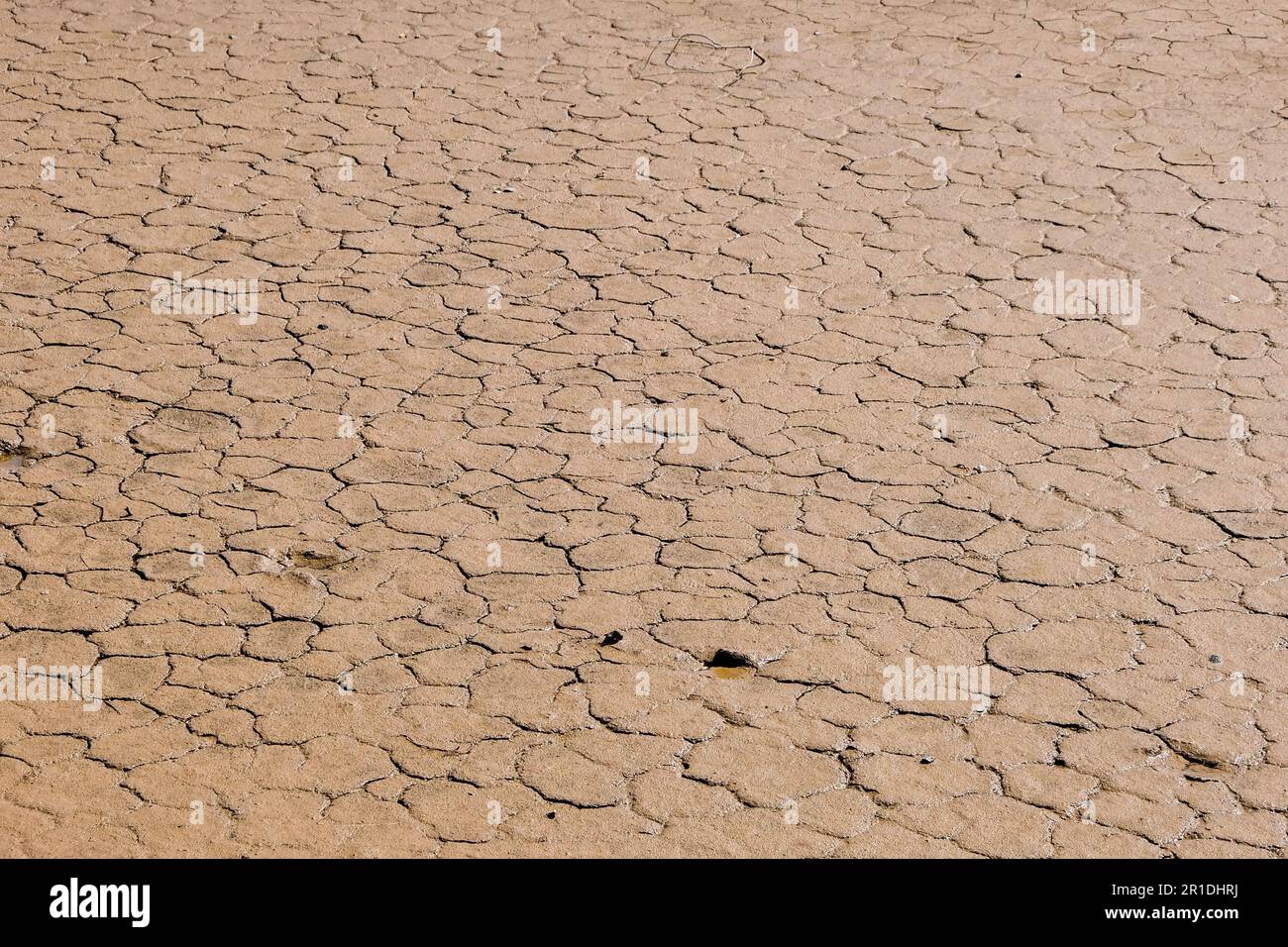 Sécheresse, fissures au sol, pas d'eau chaude. Terre sèche en saison sèche. Manque d'effet de l'humidité du sol craqué mondial en été. Banque D'Images