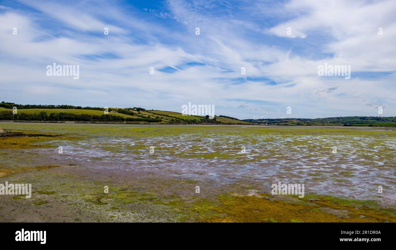Plaines de marée dans le sud de l'Irlande un jour d'été. Paysage irlandais. Un marais marécageux est un marais qui s'inonde et s'écoule par le mouvement de marée de l'a Banque D'Images