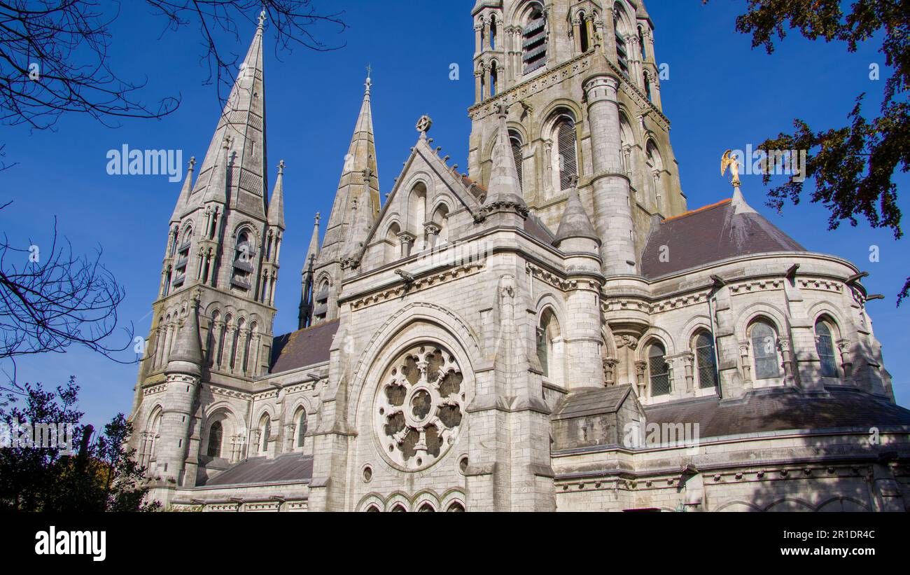 La cathédrale chrétienne irlandaise de l'Église anglicane de Cork. Cathédrale du 19th siècle dans le style néo-gothique. Cathédrale Saint-fin-barre, Banque D'Images