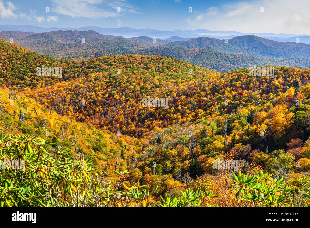Forêt nationale de Pisgah, Caroline du Nord, États-Unis pendant l'automne. Banque D'Images