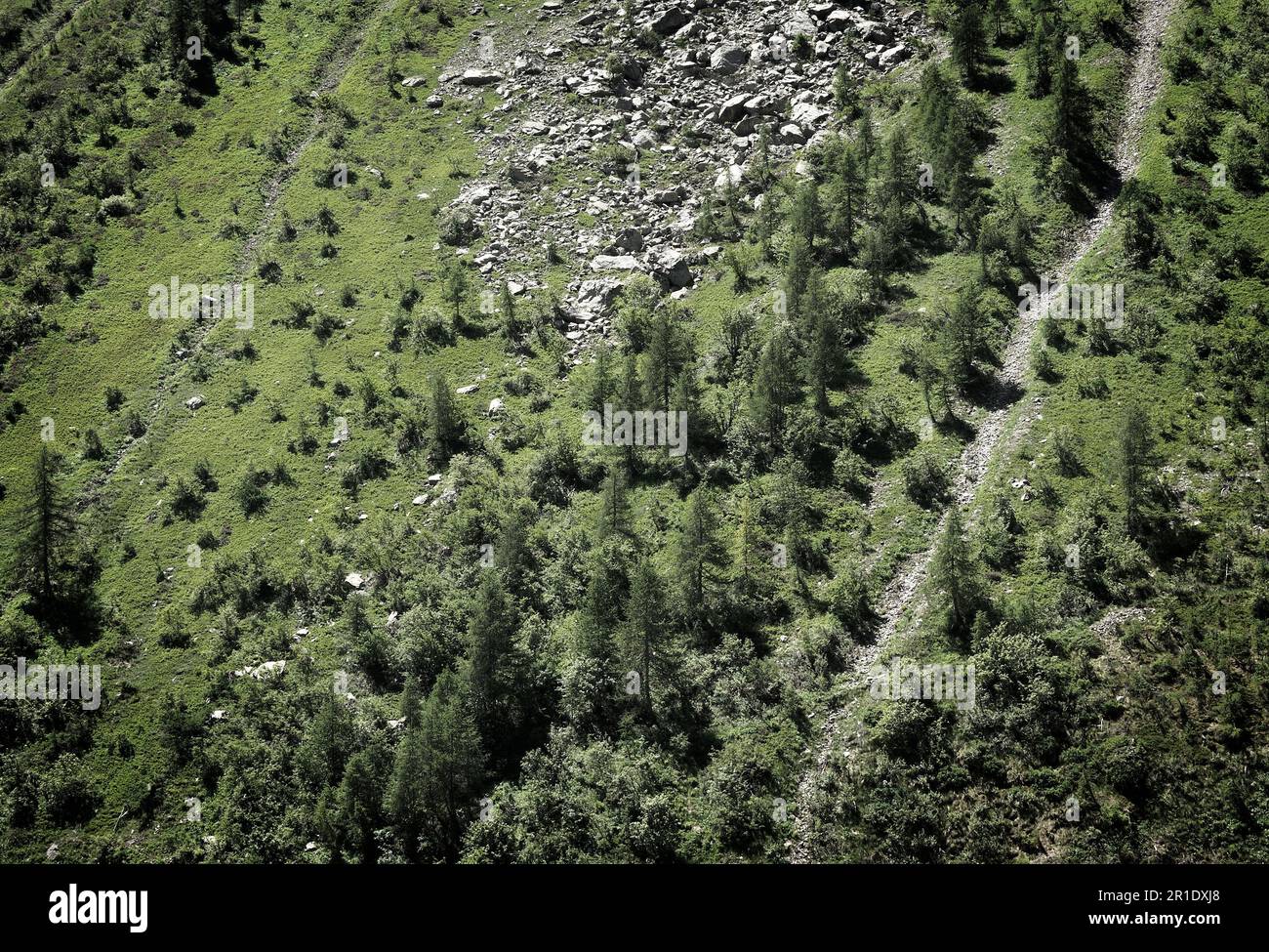 Vallée supérieure de la Gesso, Cuneo, Piémont, Italie Banque D'Images