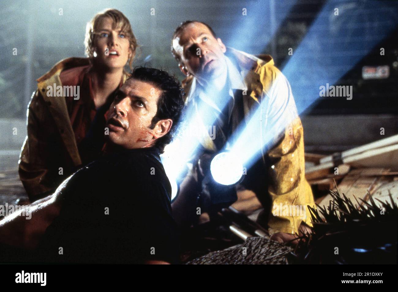 LAURA DERN JEFF GOLDBLUM et BOB PECK dans JURASSIC PARK 1993 réalisateur STEVEN SPIELBERG roman Michael Crichton scénario Michael Crichton et David Koepp musique John Williams Amblin divertissement / Universal Pictures Banque D'Images