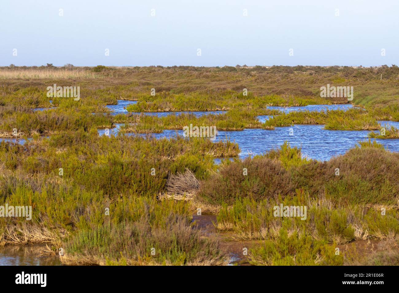 Réserve naturelle de Punta entina sabinar, roquetas de mar, almeria, espagne Banque D'Images