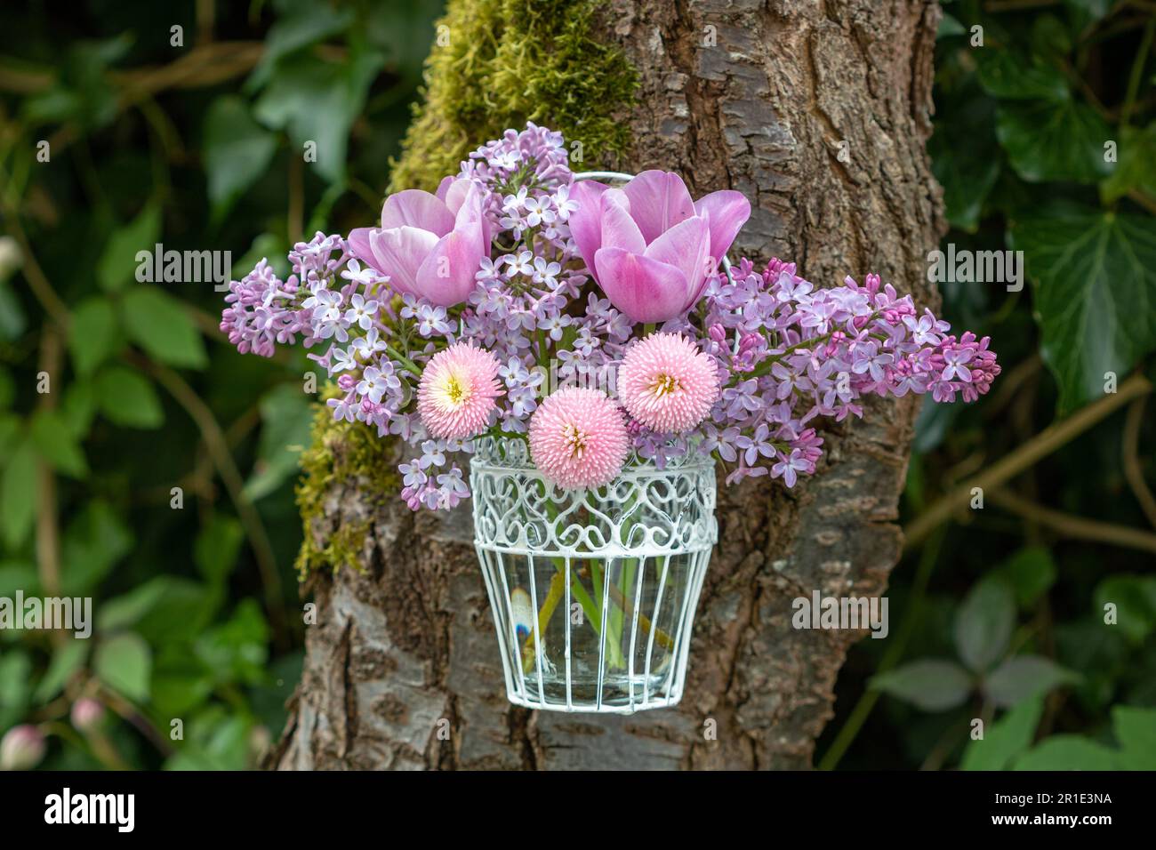 bouquet de bellis perennis rose, tulipes et lilas dans un vase vintage Banque D'Images