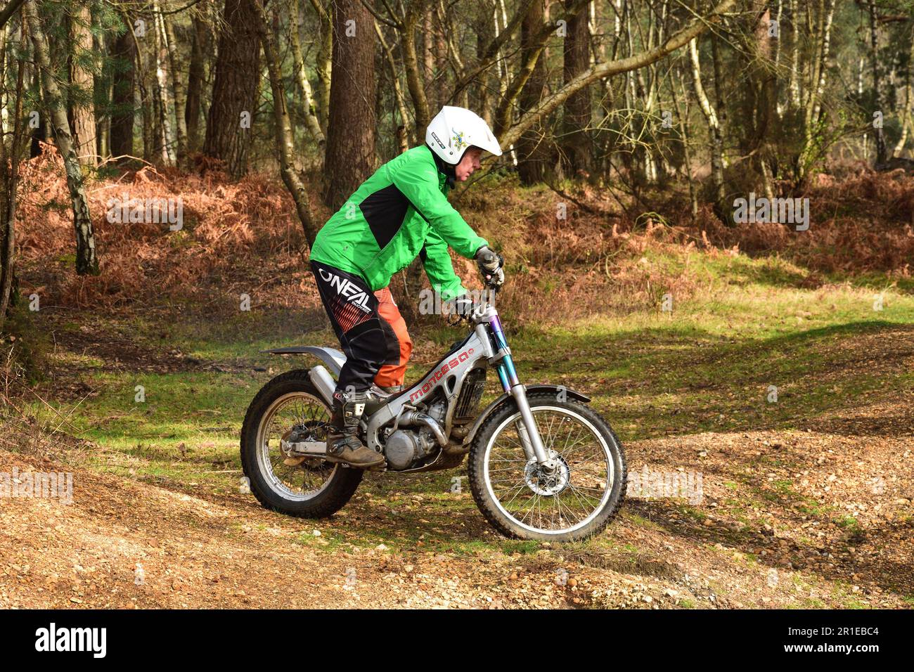 Essais de moto senior dans la New Forest au Royaume-Uni Banque D'Images