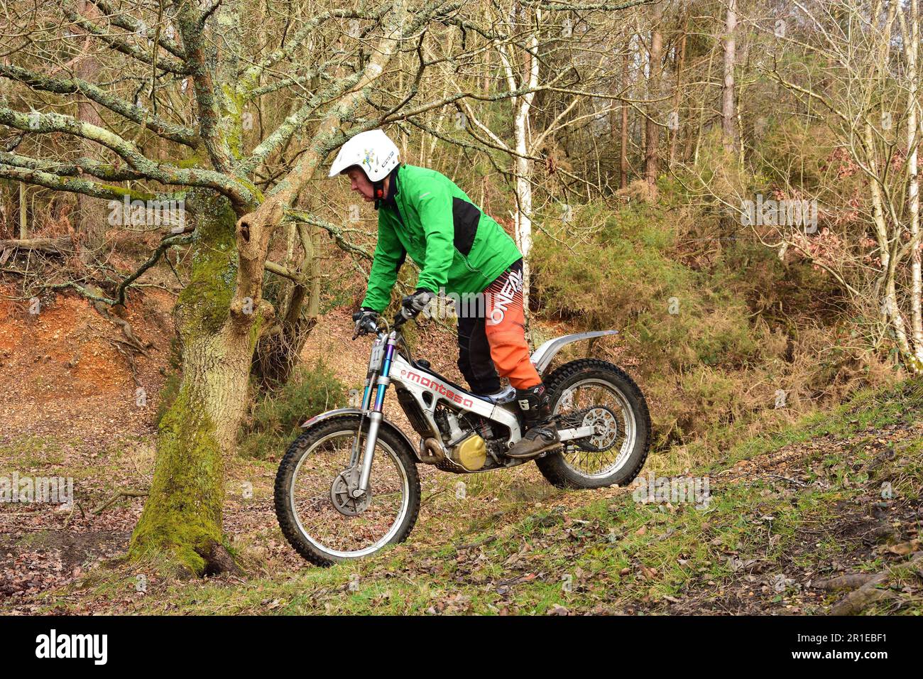 Essais de moto senior dans la New Forest au Royaume-Uni Banque D'Images