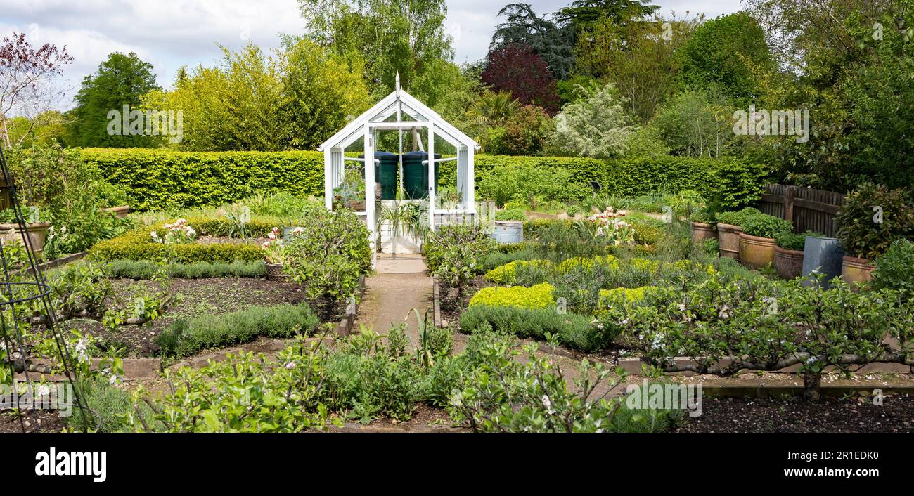 Une parcelle de jardin avec des lits de semence et une serre en verre au centre du jardin de cuisine. Une arrière-cour suburbaine ou rustique pour le jardinage. Une chaude journée d'été. Banque D'Images