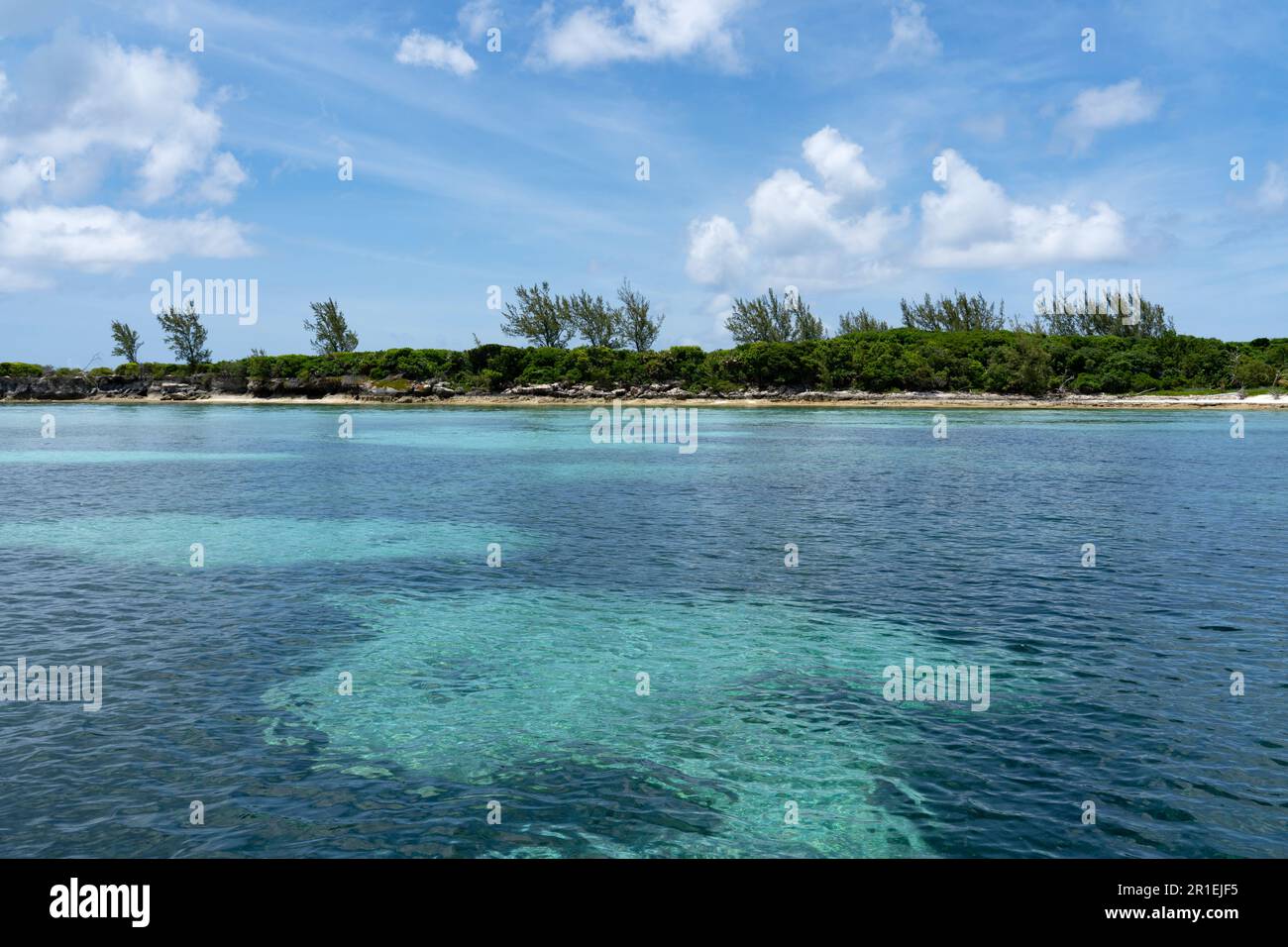 Green Cay, l'un des cayes des Bahamas Banque D'Images