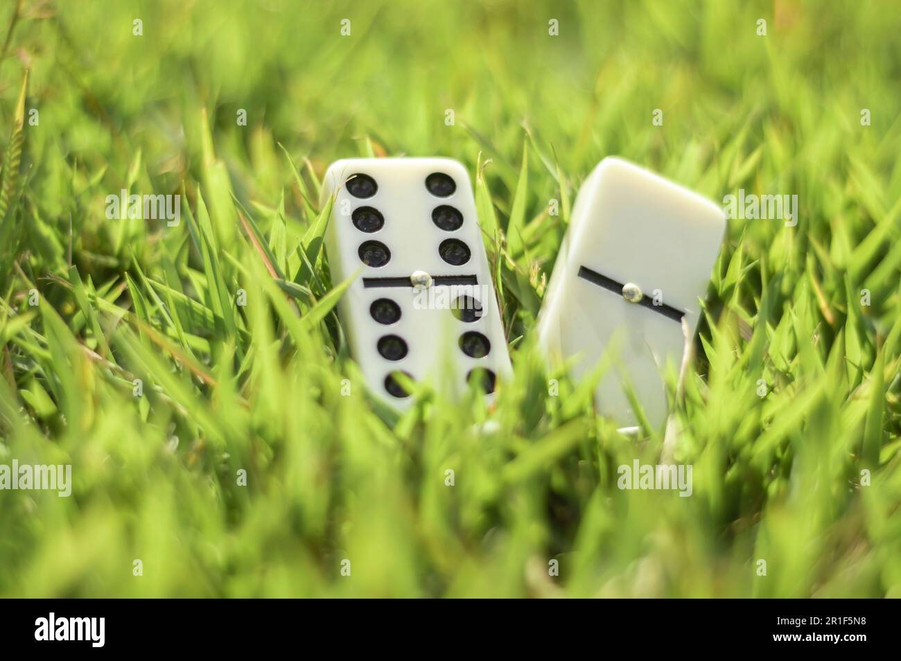 Morceaux de Domino avec de l'herbe en arrière-plan sur une journée ensoleillée, concept abstrait. Banque D'Images