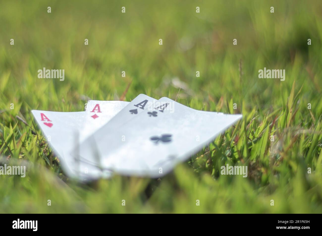 ACE de clubs, d'or, de tasses, de bâtons et de coeurs, avec l'herbe en arrière-plan, concept abstrait. Banque D'Images