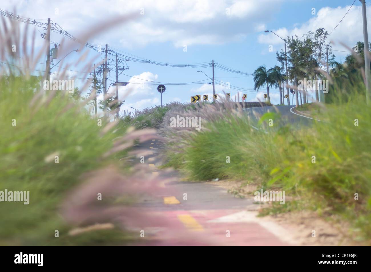 Campinas-sp,Brésil,mai 12,2023 piste cyclable entourée de végétation par une journée ensoleillée, concept de cyclisme, nature urbaine. Banque D'Images