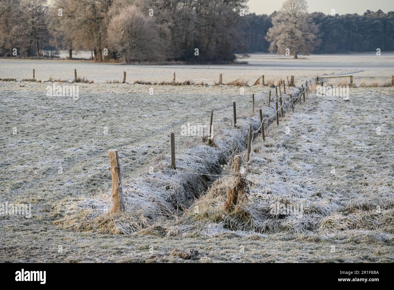 Une clôture en bois dans un paysage enneigé, située dans la campagne rurale de Westphalie, en Allemagne Banque D'Images