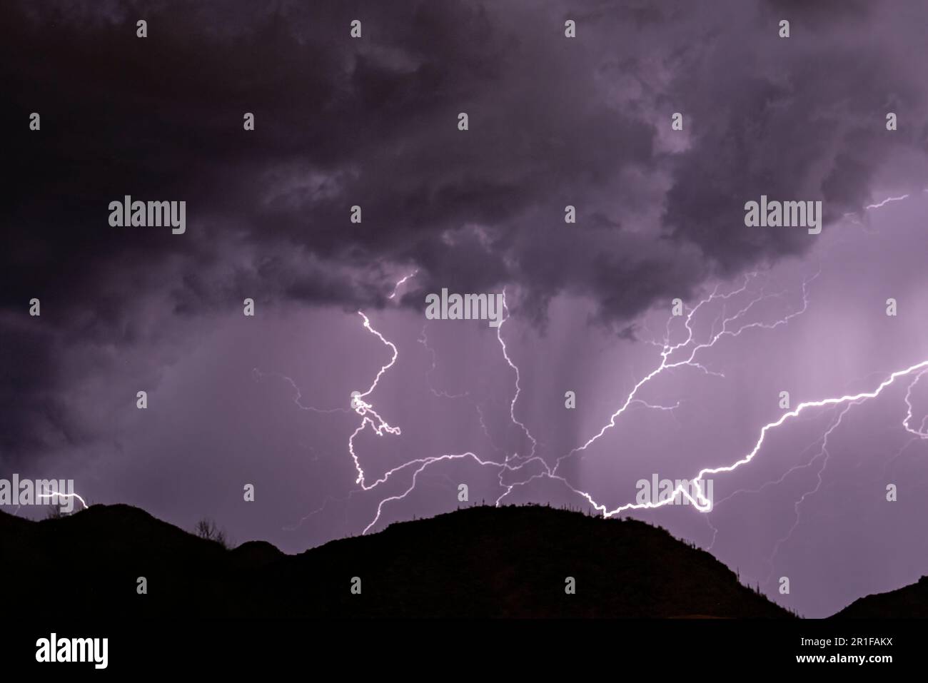Éclairs de la saison de la mousson près de Tucson, AZ Banque D'Images