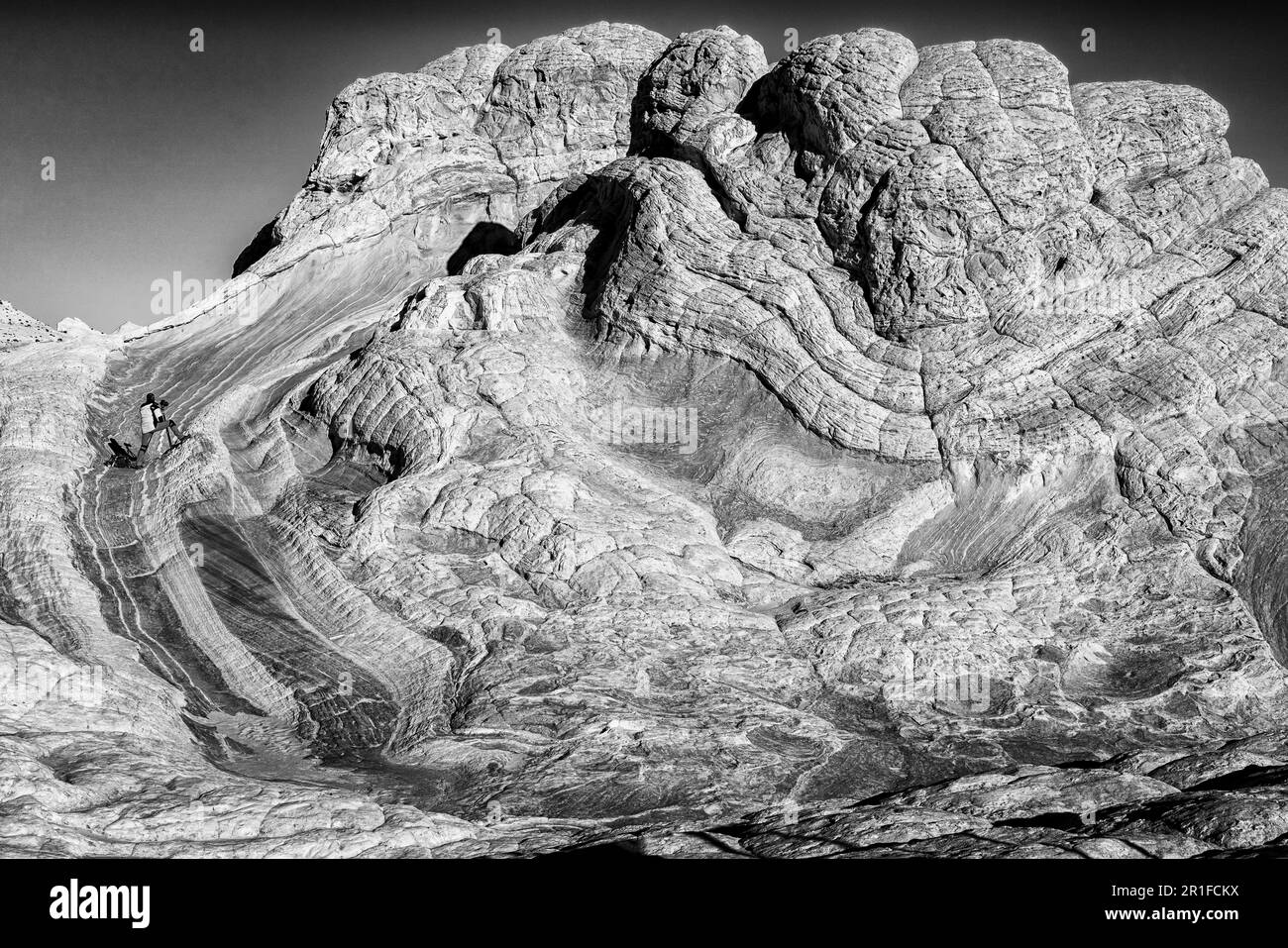 Formations rocheuses de White Pocket, Vermillion Cliffs Wilderness, Arizona Banque D'Images