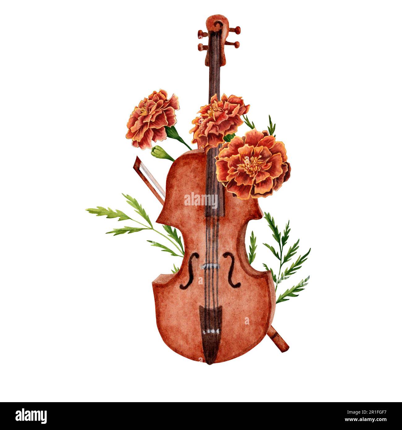 Violon aquarelle et fleurs marigolées illustration dessinée à la main isolée sur fond blanc. Banque D'Images