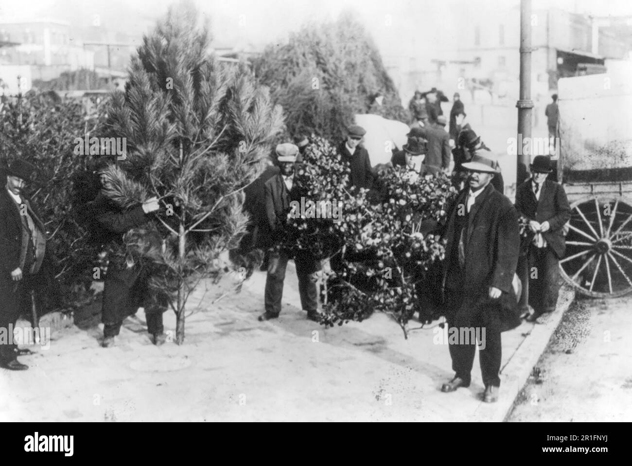 Photo d'archives : Afro-Américains vendant des arbres de Noël et du houx, Washington, D.C. ca. 1920 Banque D'Images