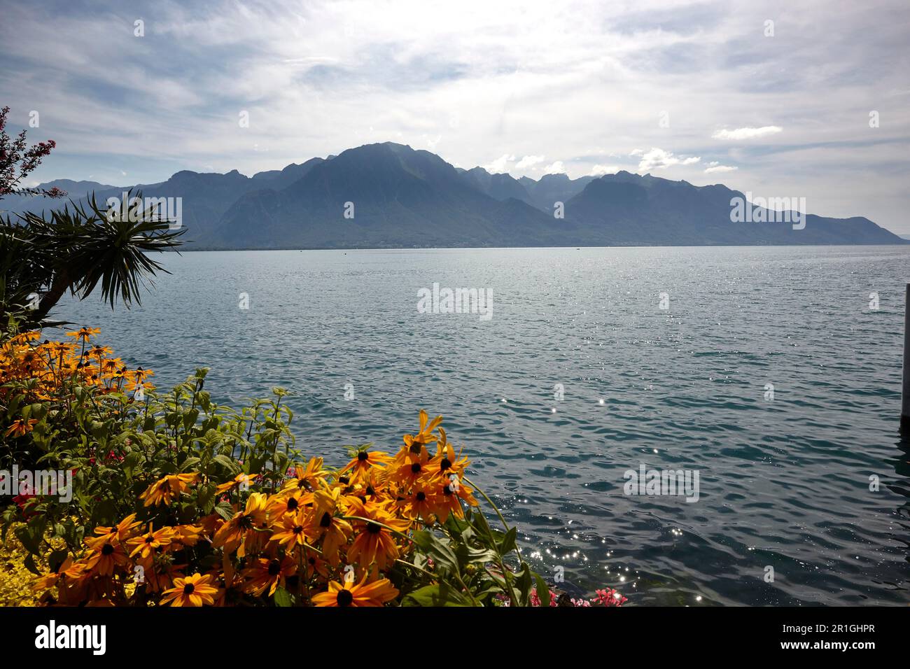 Vue sur le lac Léman jusqu'au massif du Chablais, Montreux, Suisse Banque D'Images