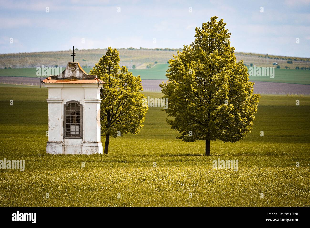 Une chapelle dans un champ, arbres, arbres en arrière-plan Banque D'Images