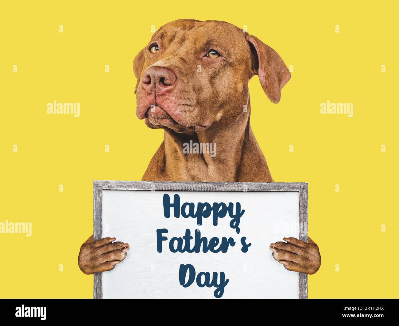 Bonne journée des pères. Mignon chiot brun. Gros plan Banque D'Images