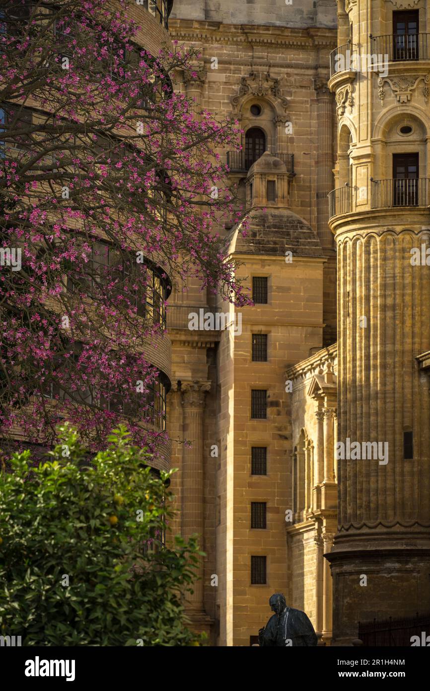 Vue détaillée de la cathédrale de Málaga avec des arbres colorés au premier plan Banque D'Images