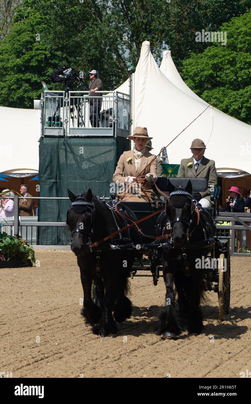 Windsor, Berkshire, Royaume-Uni. 14th mai 2023. Lady Louise Windsor au Royal Windsor Horse Show revient à la Castle Arena pour la rencontre Pol Roger de la British Driving Society - Retour de Drive. Le regretté duc d'Édimbourg a souvent été vu en voiture autour du grand parc de Windsor et sa grande fille Lady Louise, suit ses traces en conduisant la voiture du duc. Crédit : Maureen McLean/Alay Live News Banque D'Images