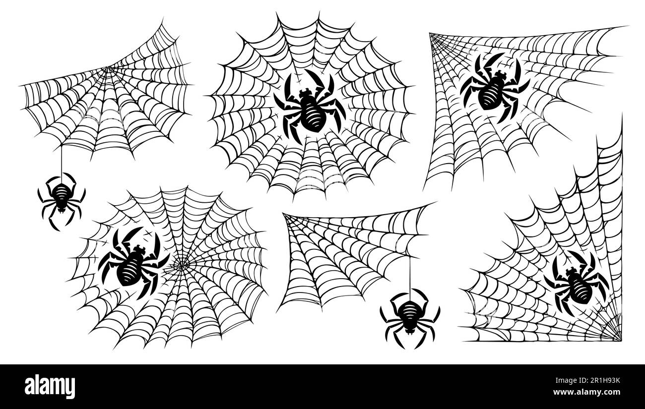 Toile d'araignée, ensemble d'araignées. Motifs en mesh noir avec décoration de fête d'halloween. Illustration vectorielle Illustration de Vecteur