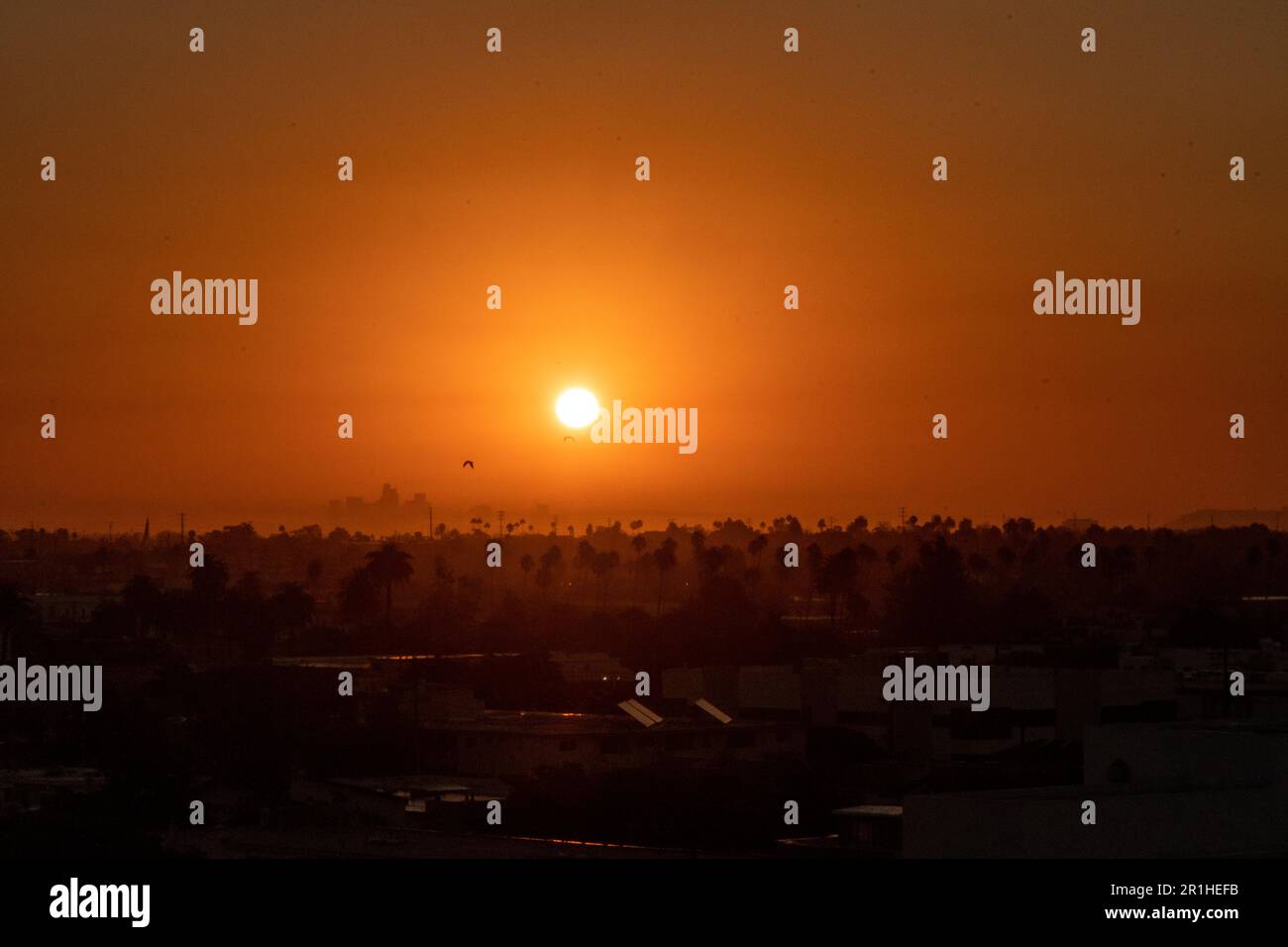 9/7/2022: Los Angeles, Californie, États-Unis: Un soleil d'été chaud se lève à la fin de la vague de chaleur de l'été qui a causé des coupures de courant et des perturbations de l'alimentation Banque D'Images