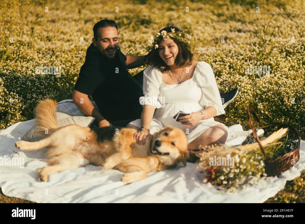 Sur une couverture de pique-nique blanche, une femme enceinte et son mari partagent un moment de tendreté avec l'image échographique de leur bébé, tandis que leur sympathique Golden Retr Banque D'Images