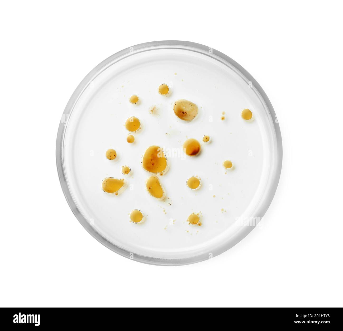 Boîte de Pétri avec bactéries sur fond blanc, vue de dessus Banque D'Images
