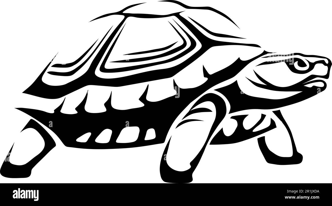 Tortue. Illustration en noir et blanc d'une tortue isolée sur fond blanc. Illustration vectorielle Illustration de Vecteur